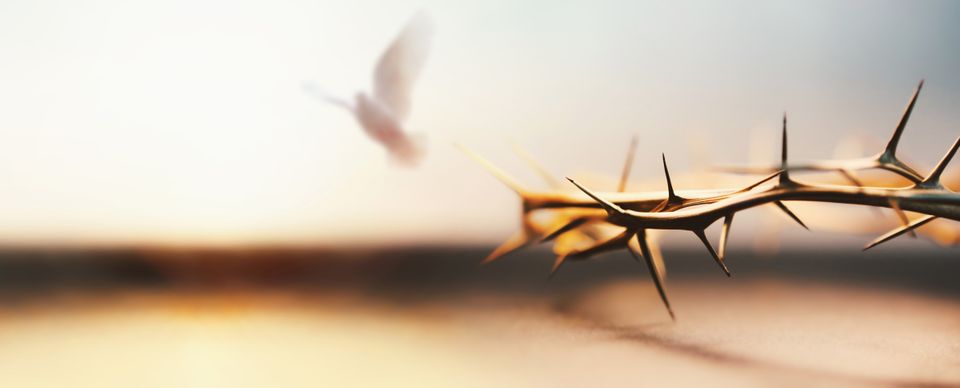 Shutterstock 2507297359