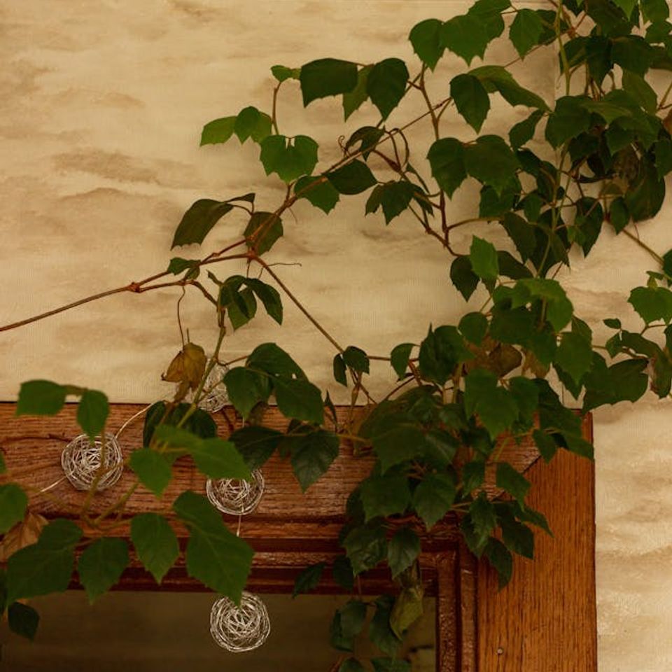 Pexels natalia sevruk 636238602 34772406 (1)