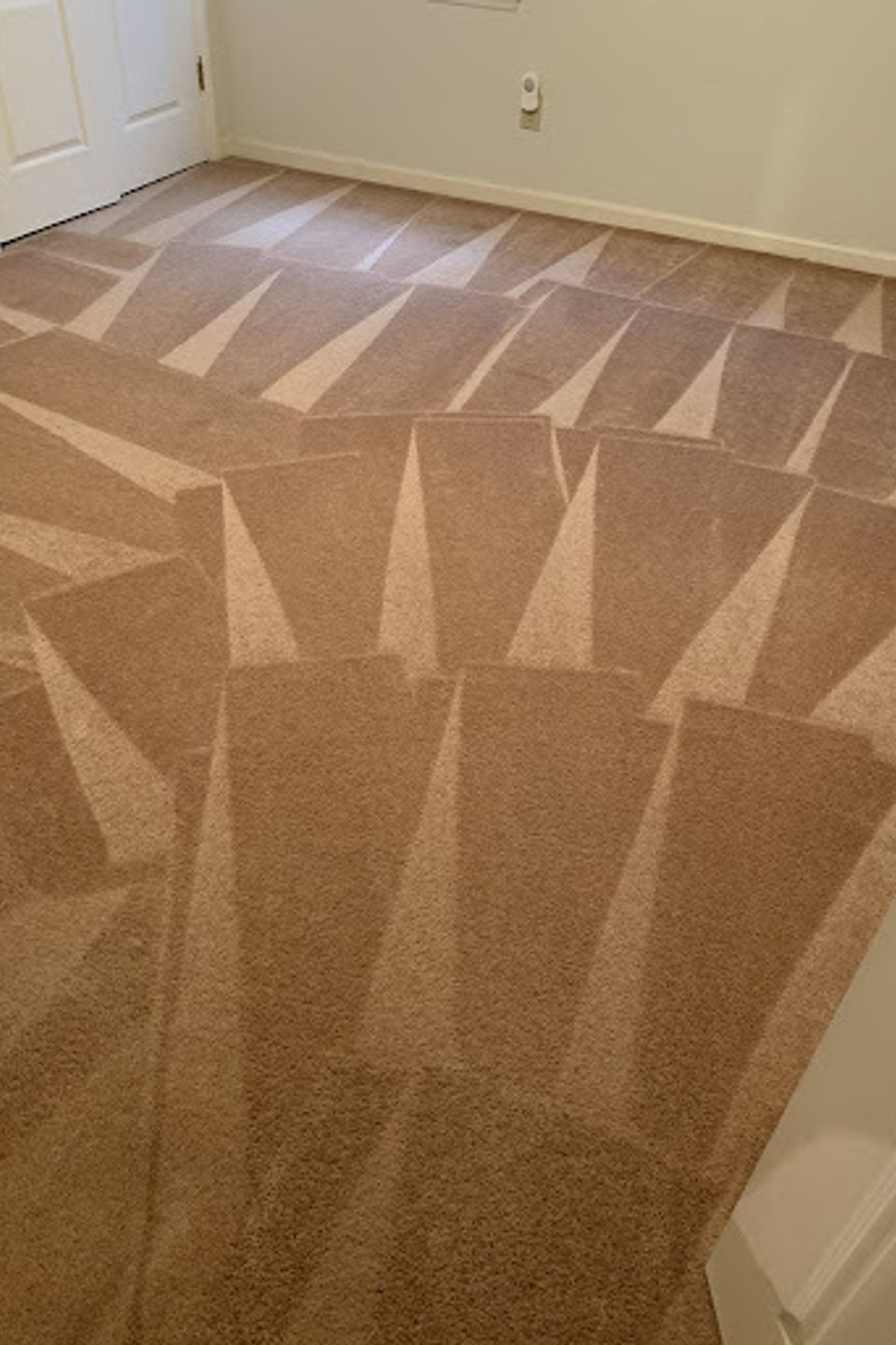 Carpet20