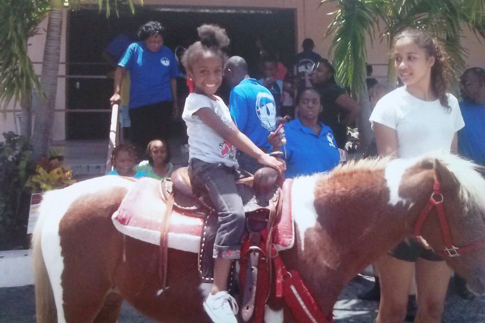Field trip to animal kingdom 4