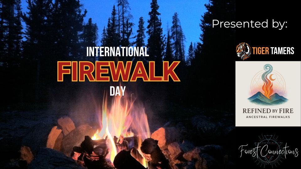 Tiger tamers   website (4)