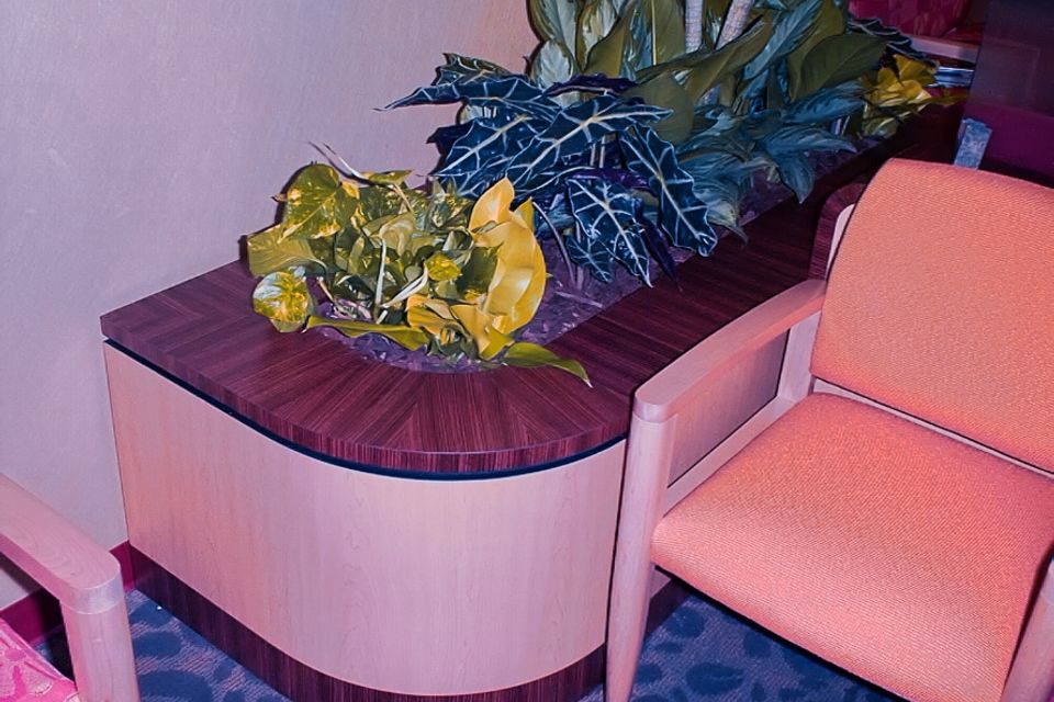 Large planter 2