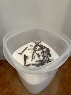 Img 1002