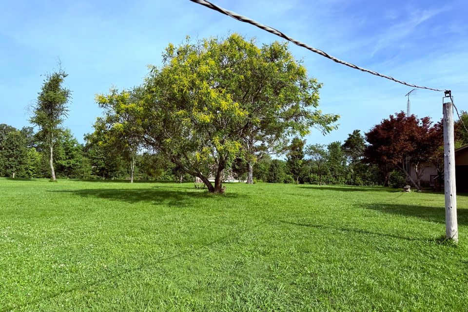31b