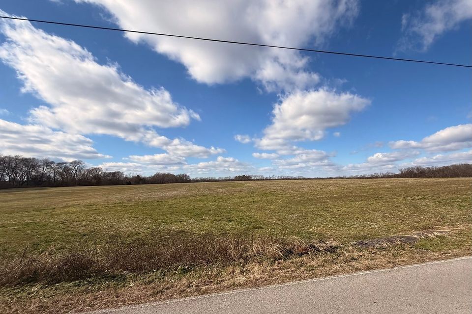 Winchester live auction