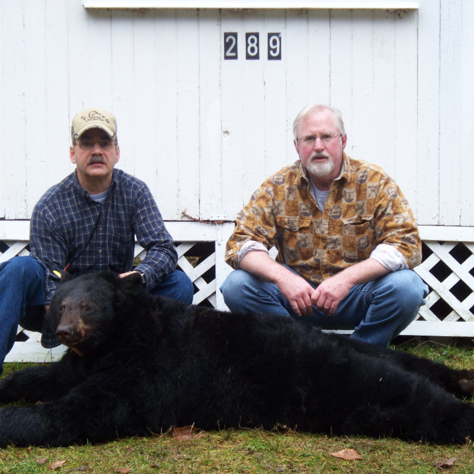Mike Shelly of Manheim, PA harvested this 207-pound bear in Abbott Township, Potter Count