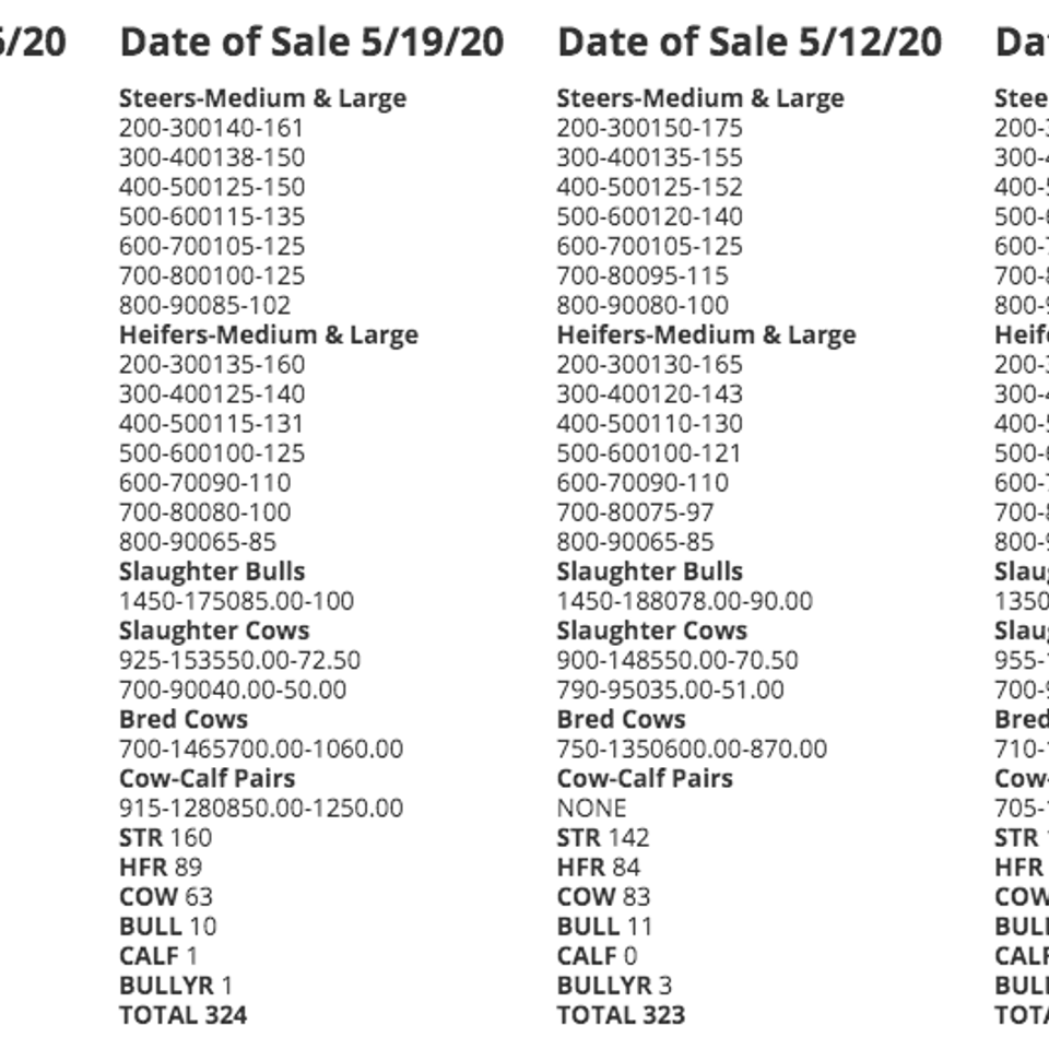 Screen shot 2020 06 04 at 2.16.55 pm