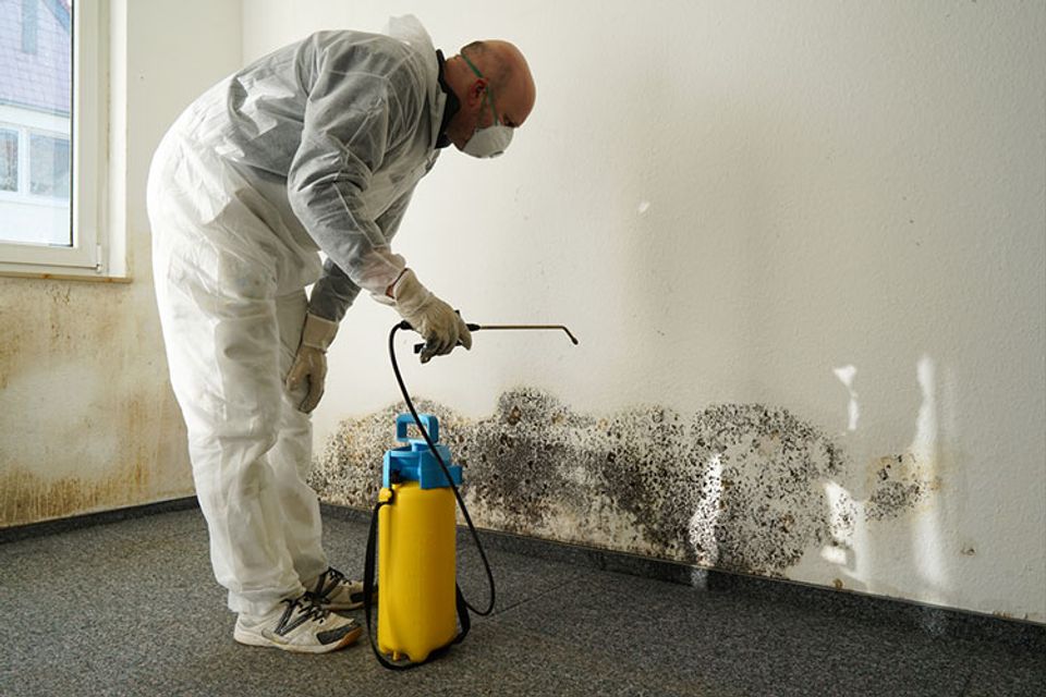 Mould removal