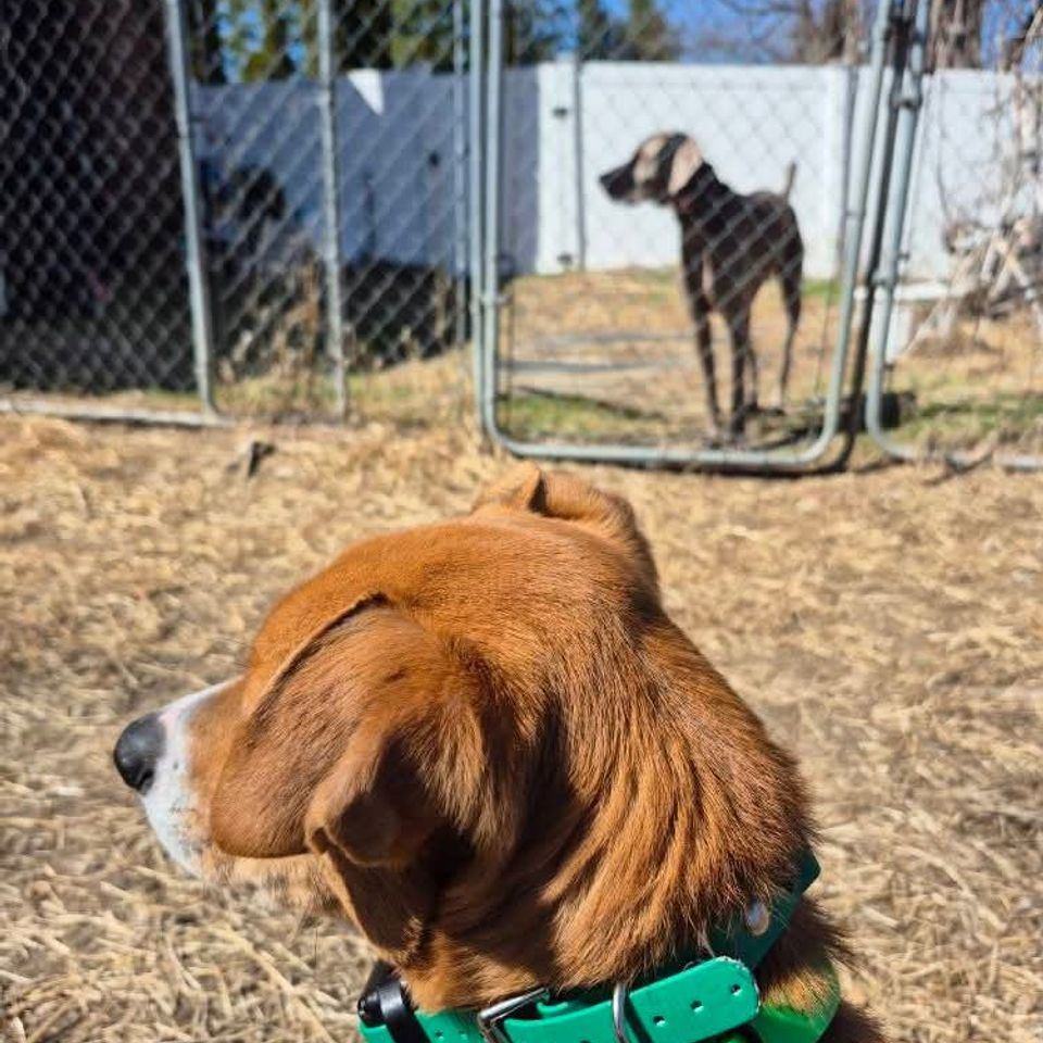 Fb img 1769435474574