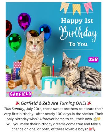 Birthday garfield and zeb (instagram post (45))