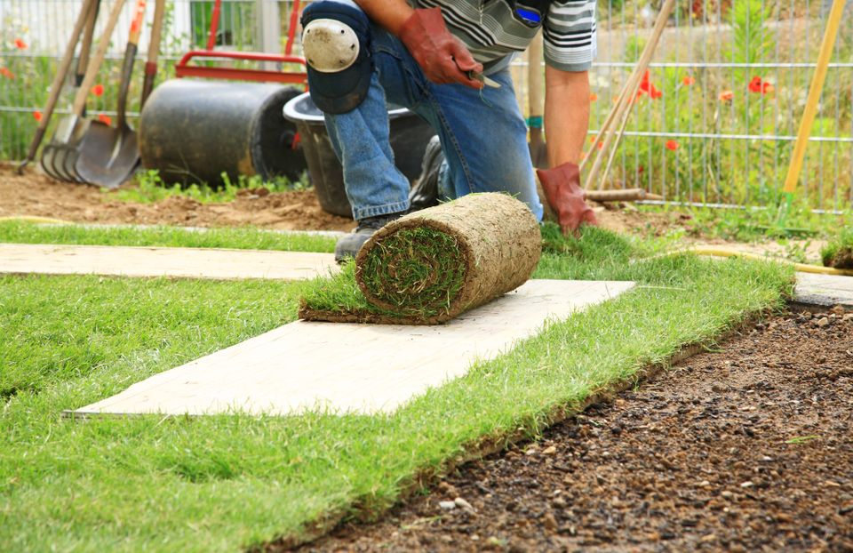 Turf Grass & Sod Company | Western Fence Landscape in Caldwell Idaho