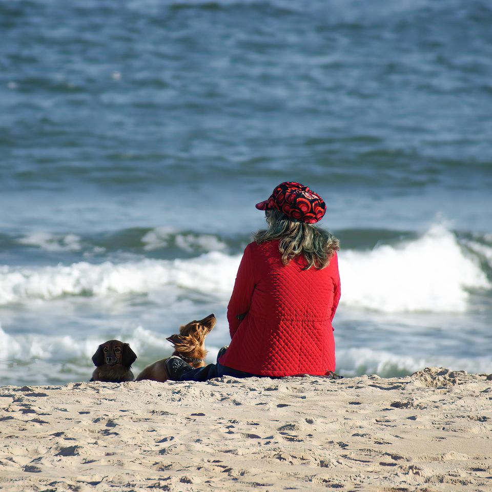 Lady and dog on beach