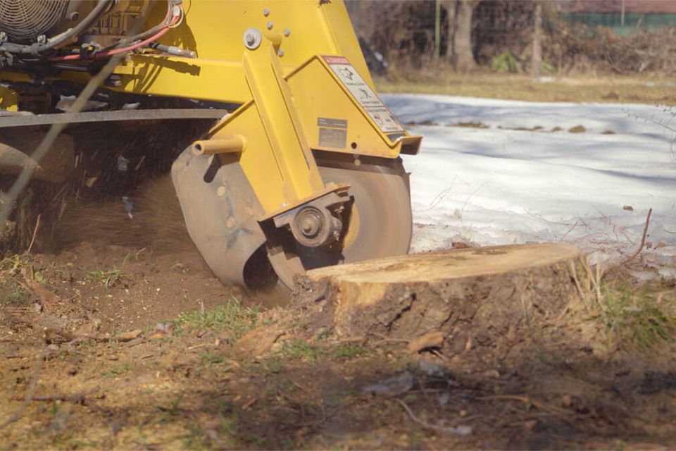 Stump grinding service