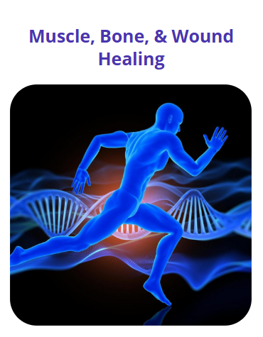 Screenshot 2026 02 22 174041