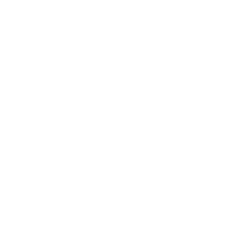 GoSafe 