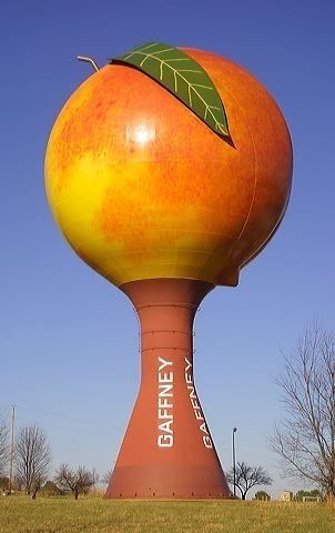 Img 3909