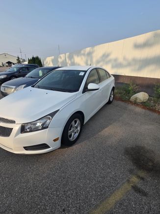 517352931 1140029538144632 5577726169771951382 n