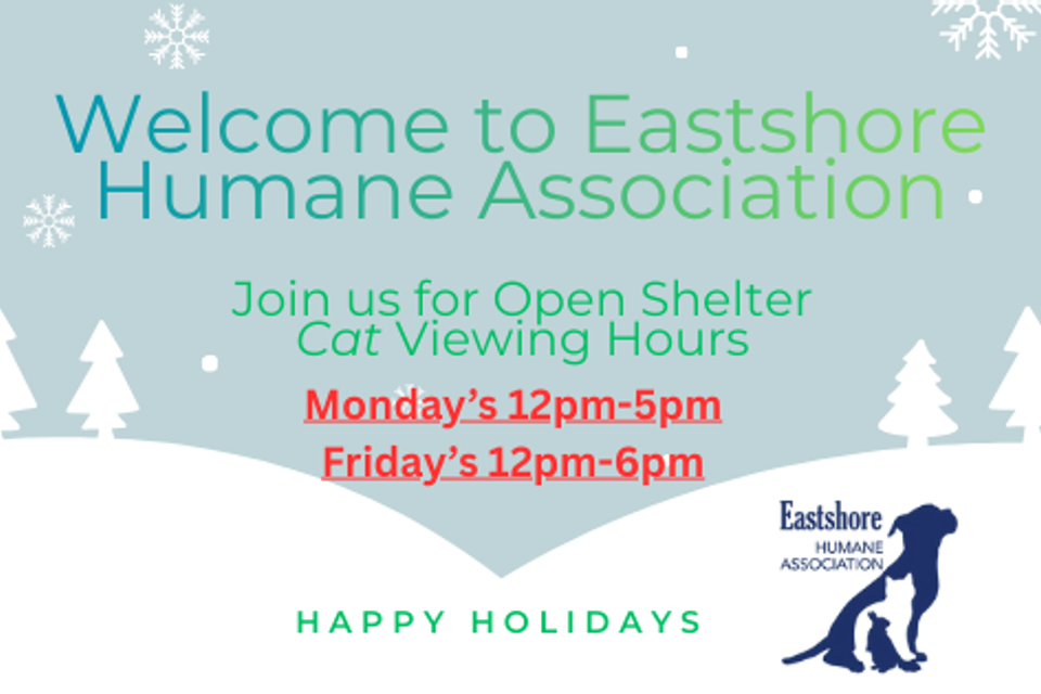 Open shelter hours (2)