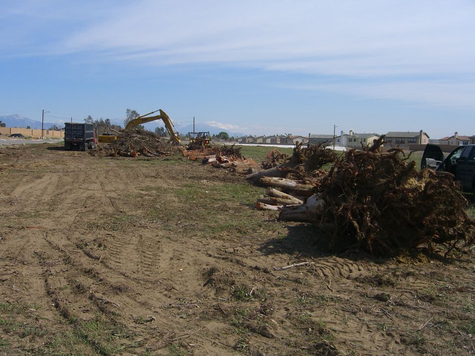 Images of winrow removal and land clearing