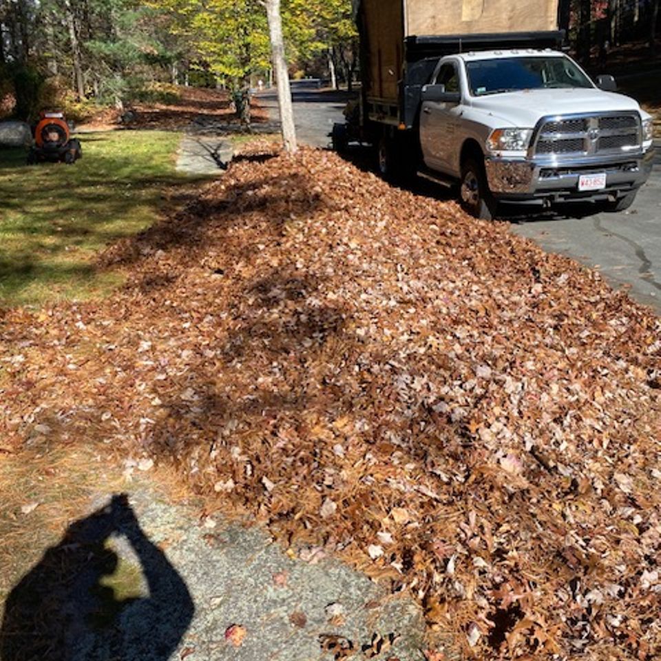 Sullivan cleanup leaves truck