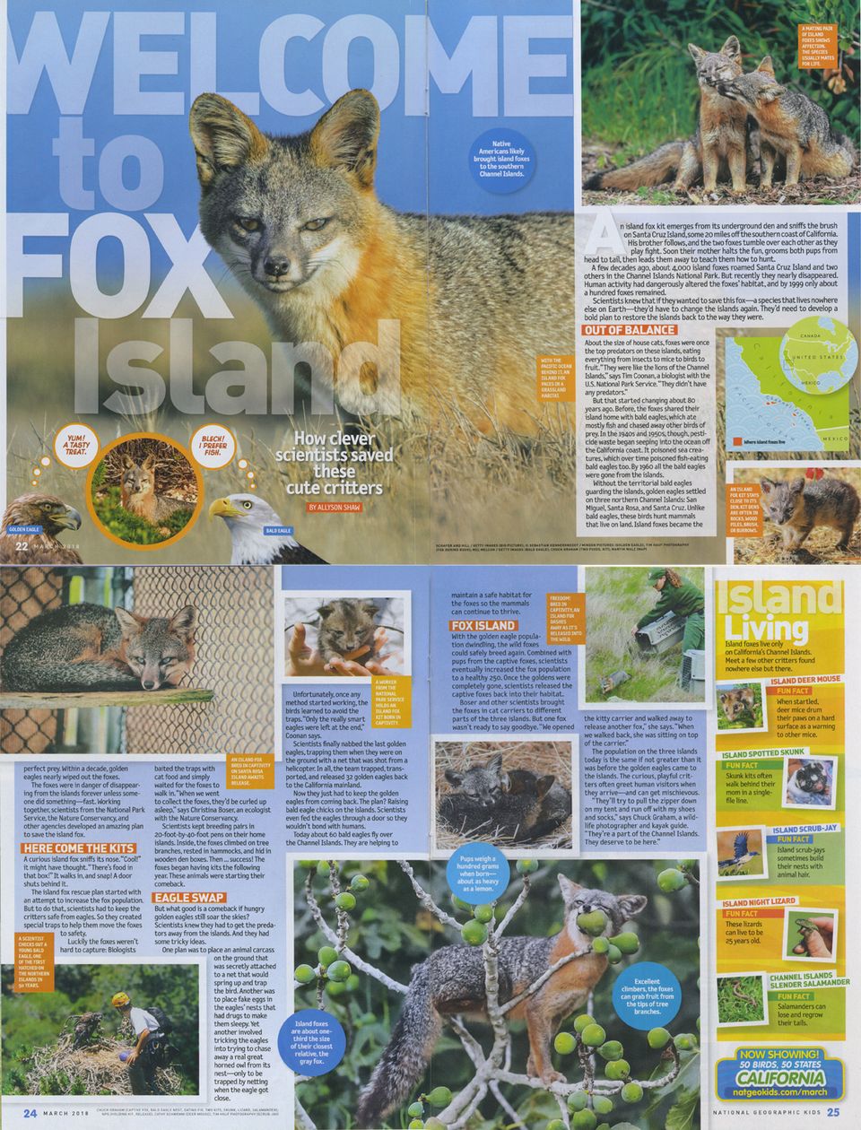 Chuckgraham ngforkids islandfoxes spread20180418 5482 1w3s151