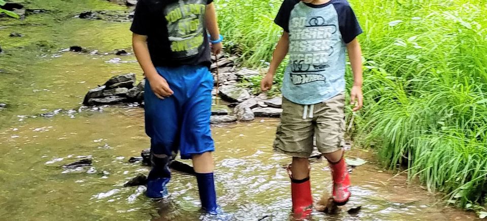 Kids play in a Pennsylvania stream