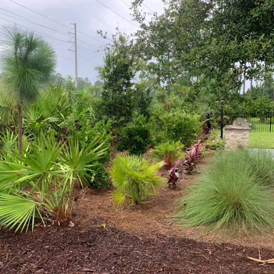 Screenshot 2025 10 20 082109