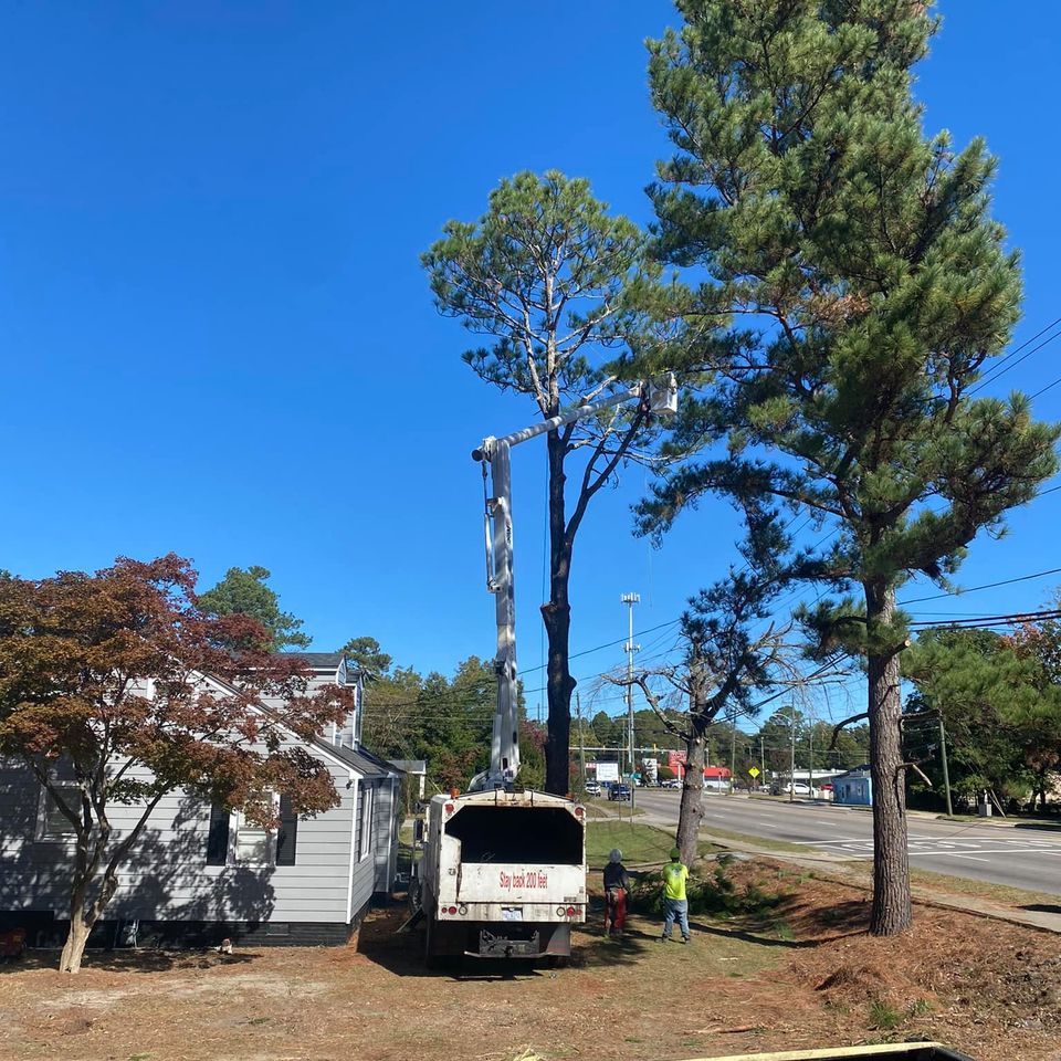 469361818 1491394824857323 789515724306224756 n