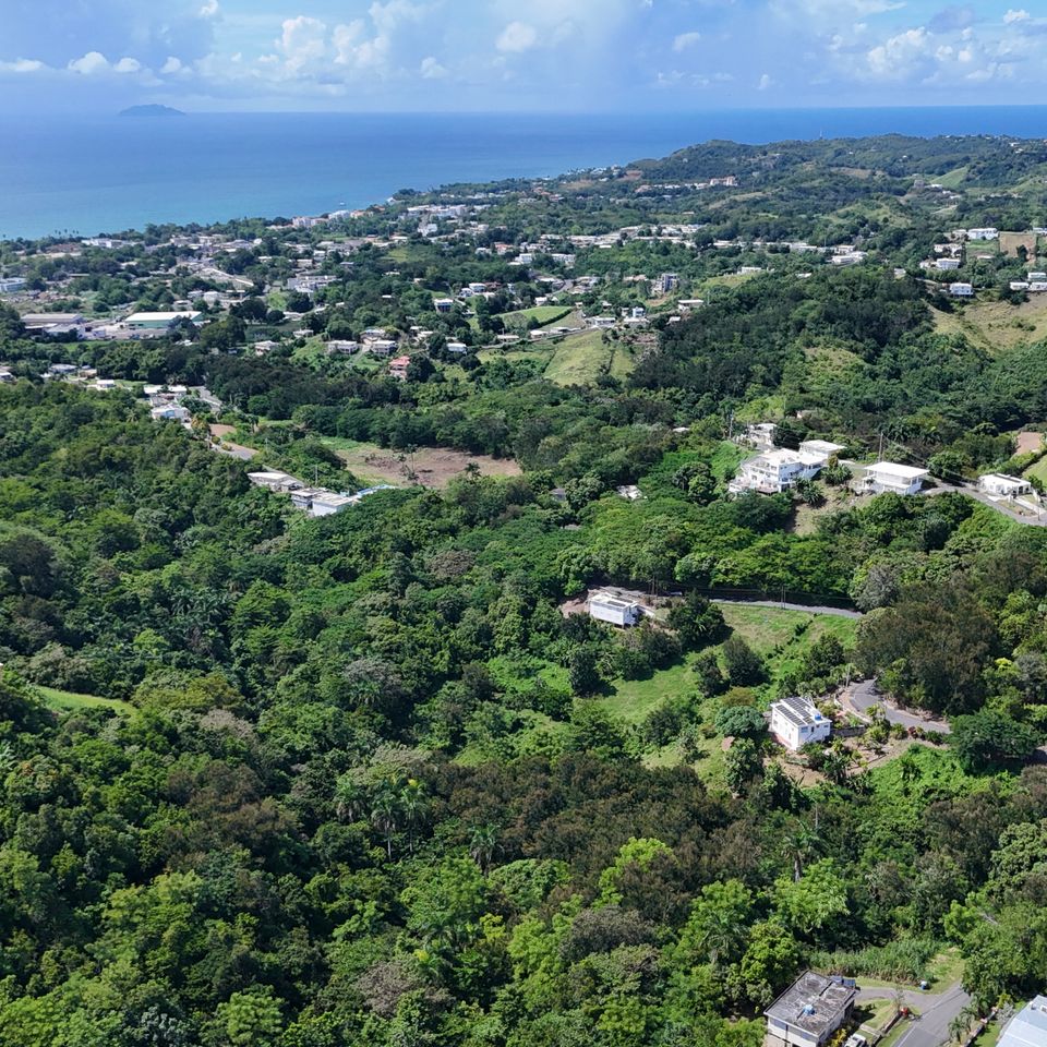 Dji 20251017133350 0886 d 2