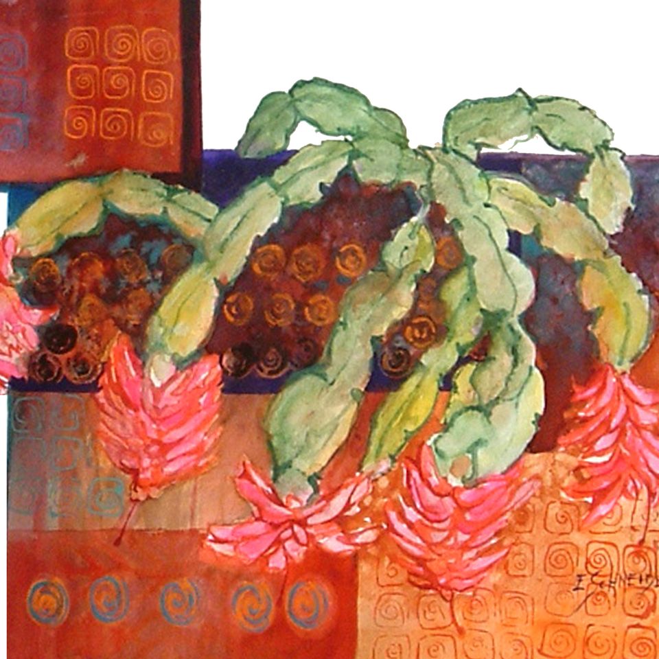 Christmas cactus