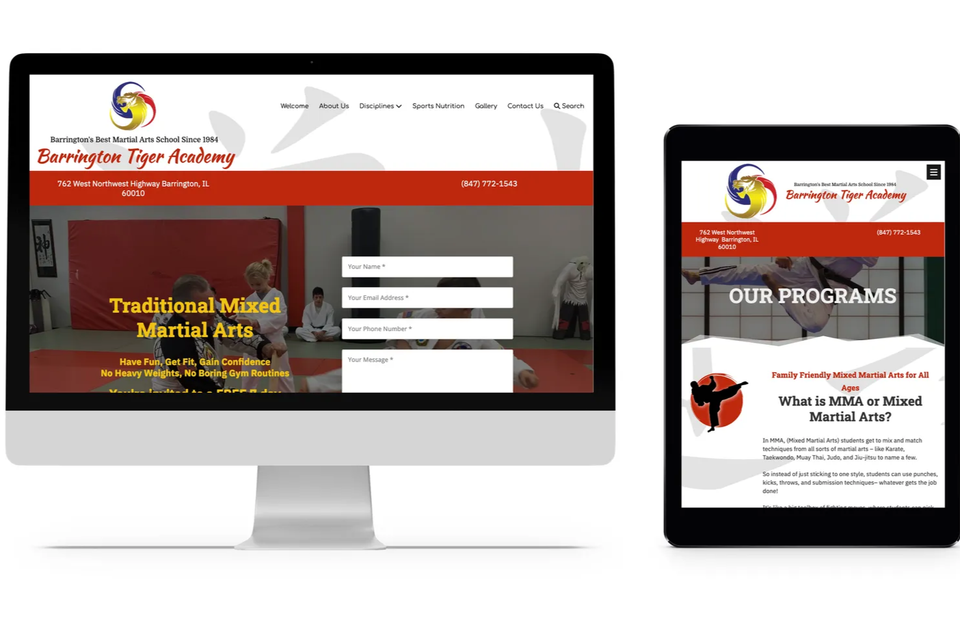 chicago-martial-arts-and-gym-web design