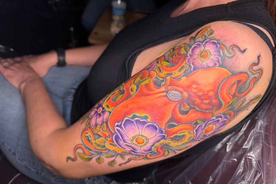 610725622 1203494151897214 8424693794071263821 n