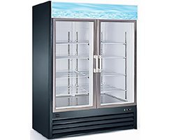 Commercial Restaurant Reach In Cooler Refrigerator or Freezer Display Merchandizer with Two Swinging Glass Doors