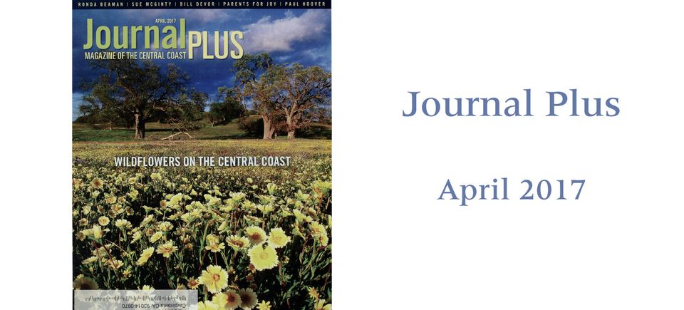 Journal plus april 201720170531 30954 1co8kti