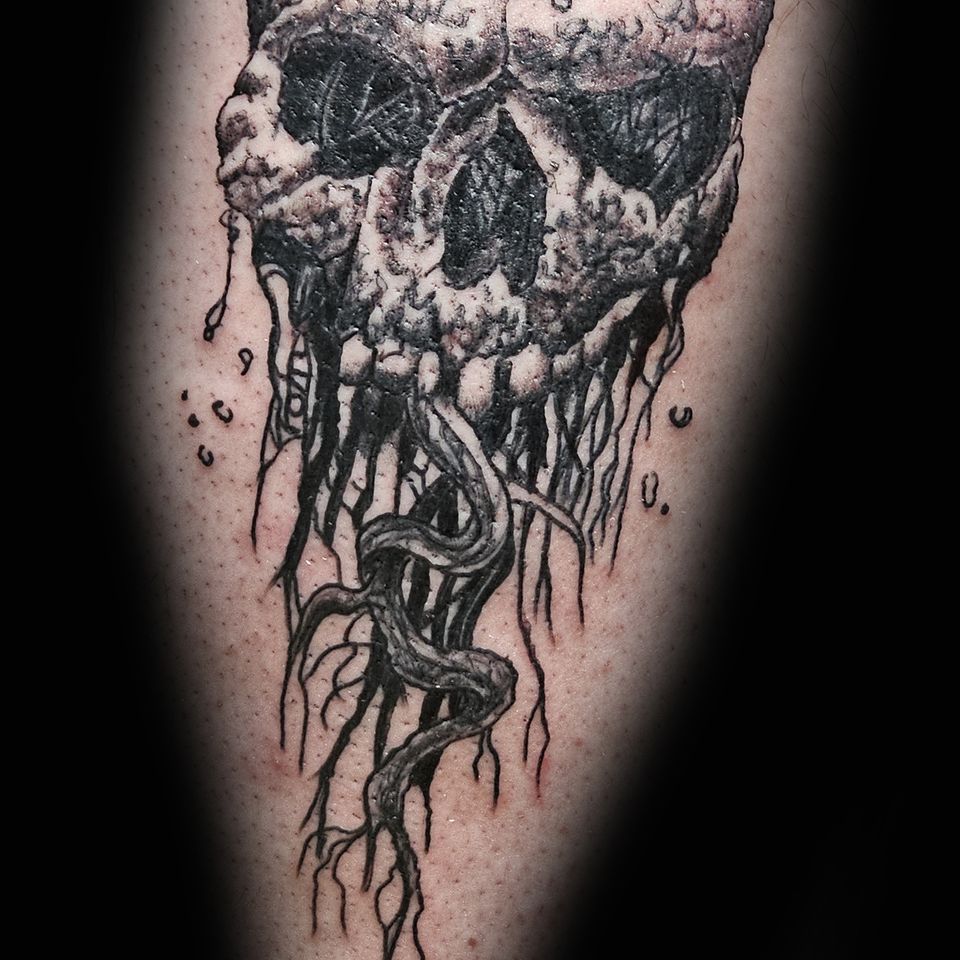 Spence skull with roots