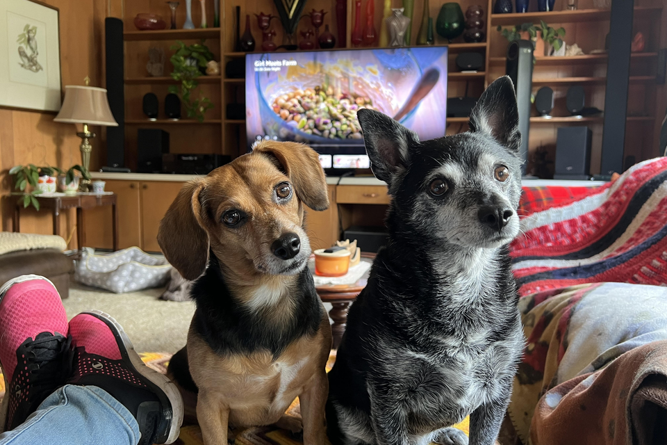 28b54fab 38c3 4d0f bb04 7f1f1af7853c