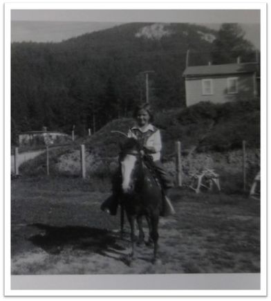 415 horse deadwood