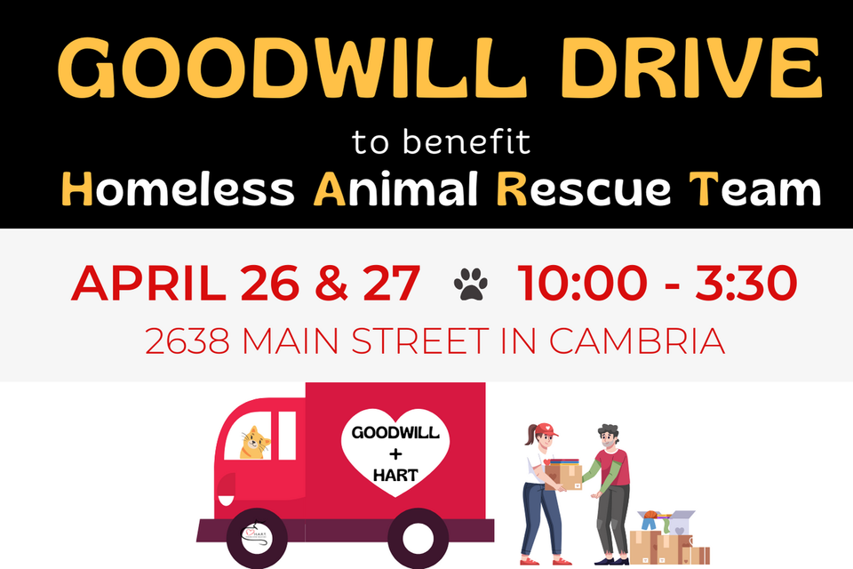 Goodwill drive to benefit homeless animal rescue team (2)