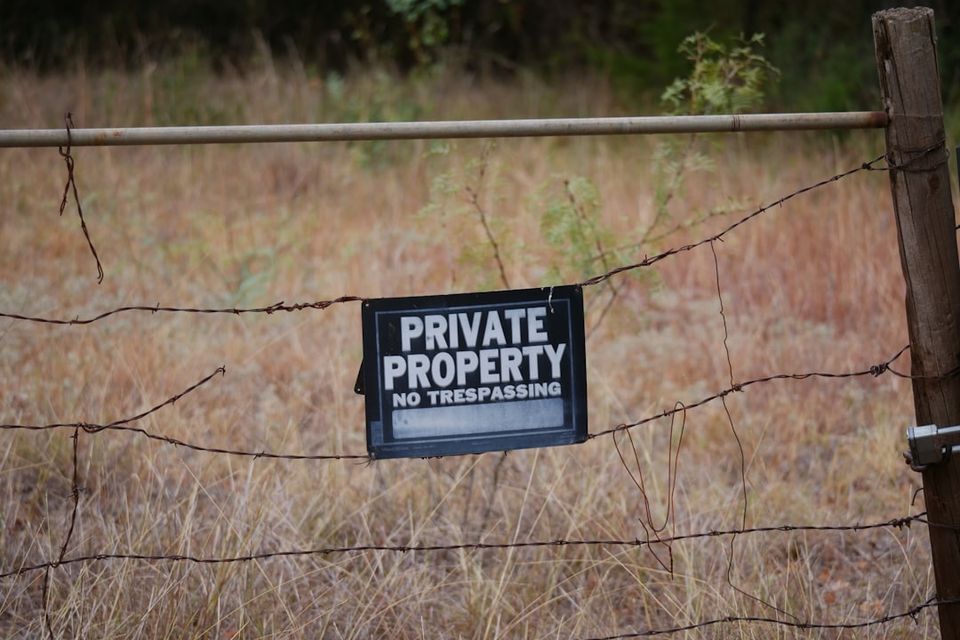 Photo 1734490957246 0fc74b4cb539