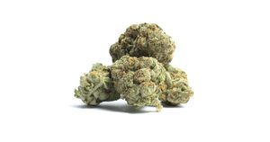Strain 8.png