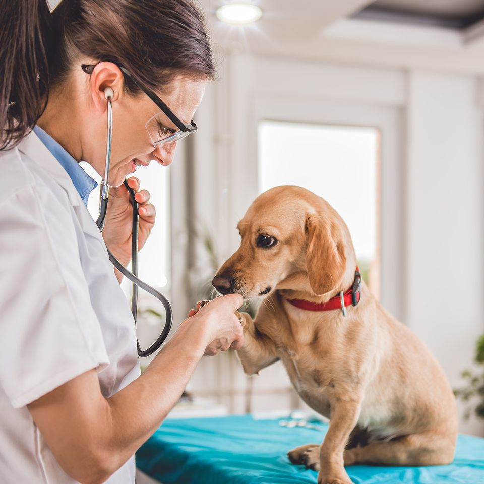 Depositphotos 169431684 el0