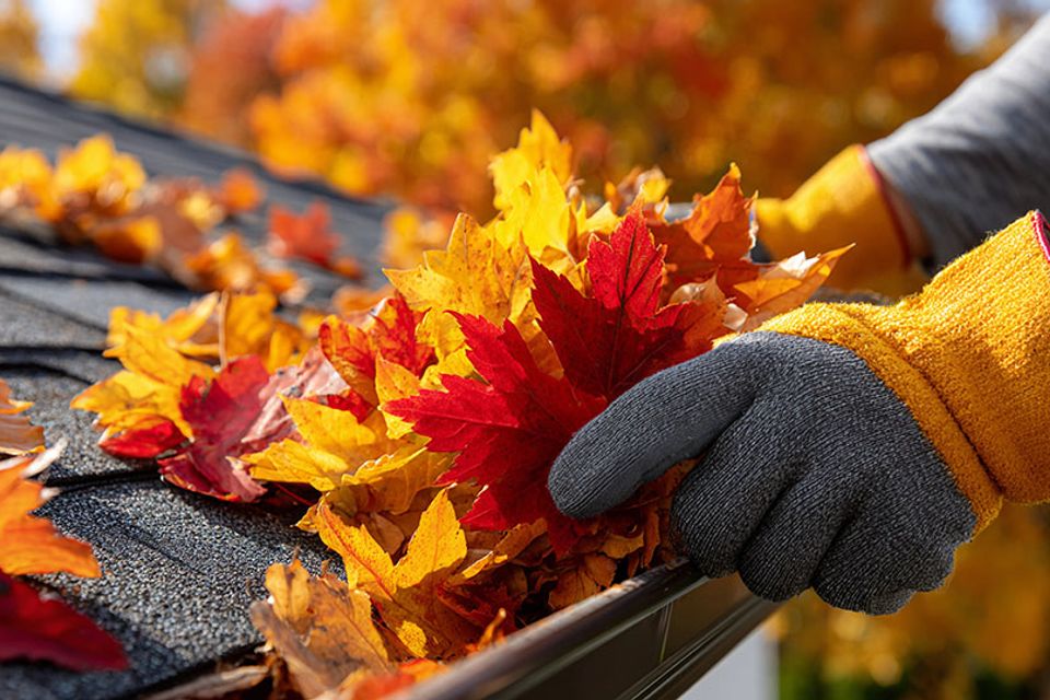Season property management
