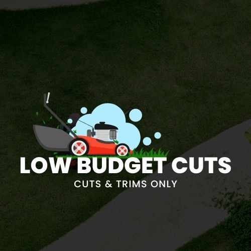 Low Budget Cuts