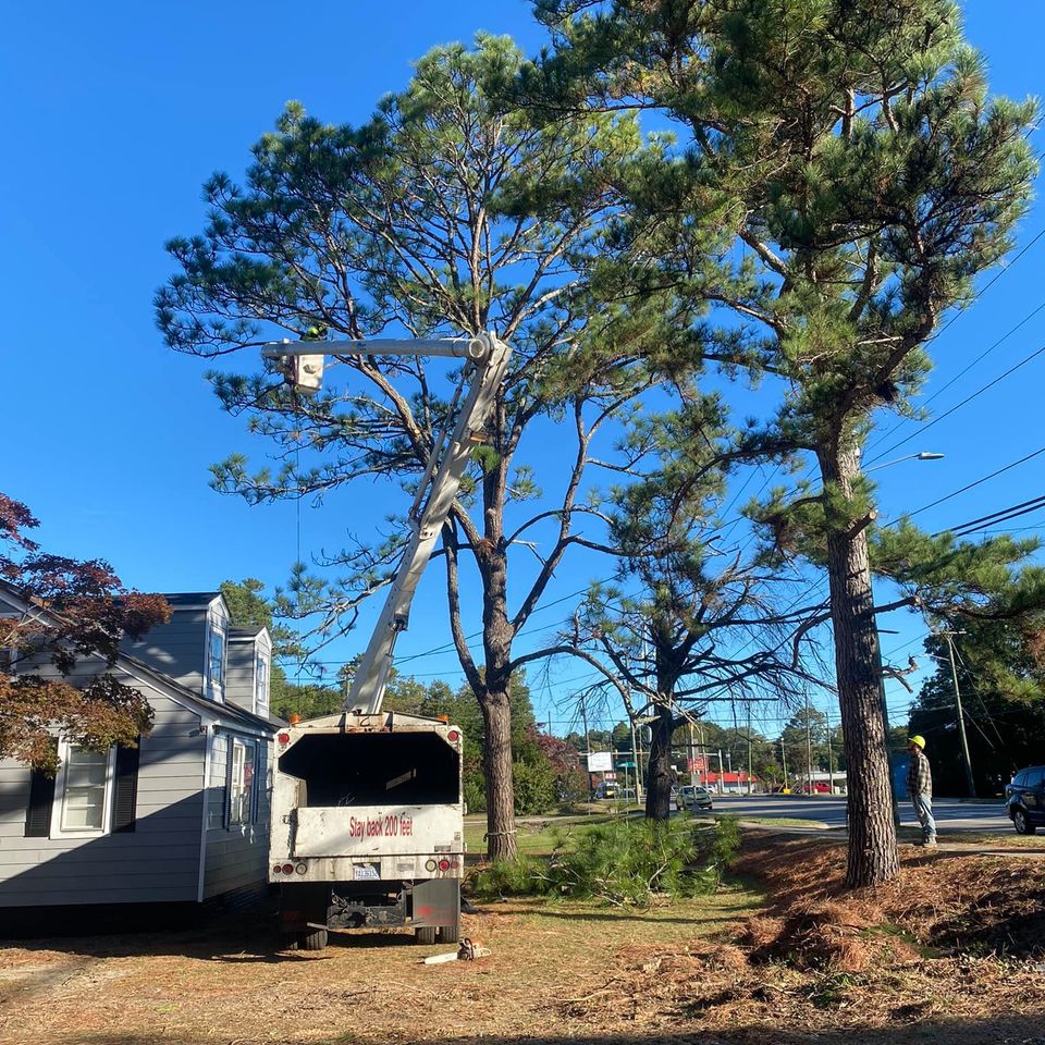 469519309 1491394814857324 4445921164688697694 n