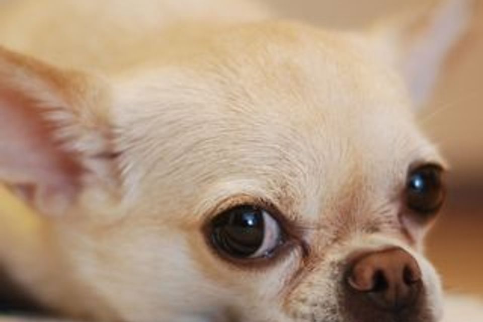 Brown and light brown  circle framed instagram profile picture (6)