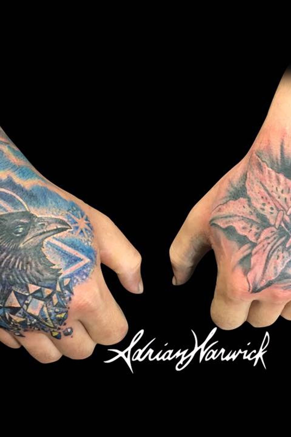 13895540 1082000798557943 7517392572633630616 n