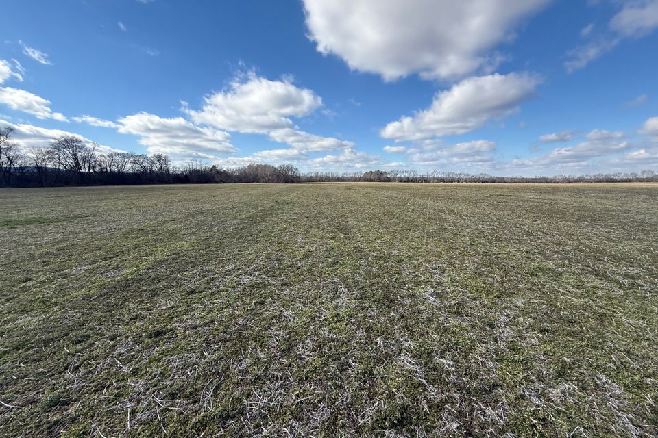 Winchester live auction2