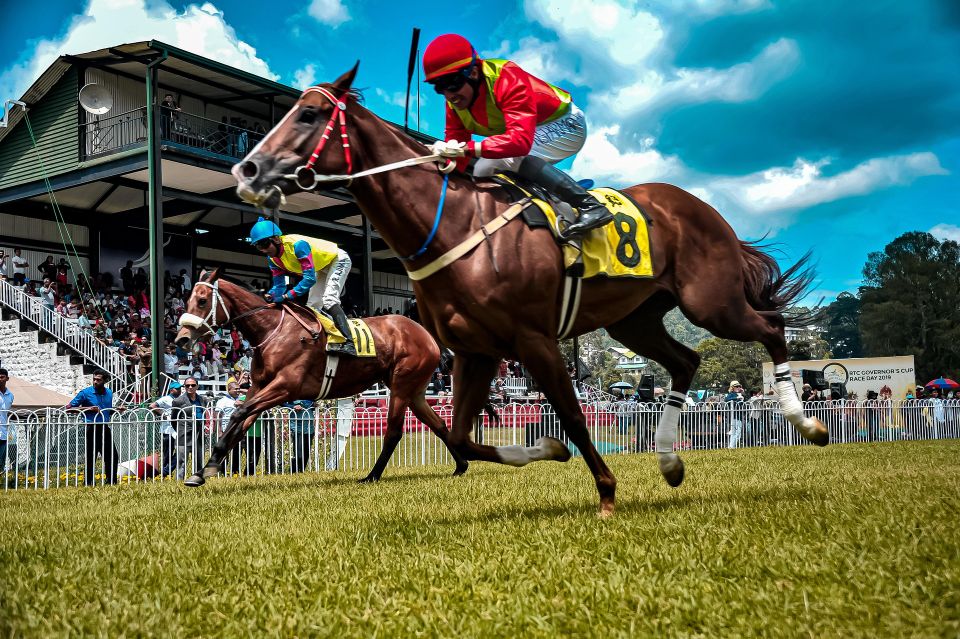 Horse g7dfaae0d7 1920