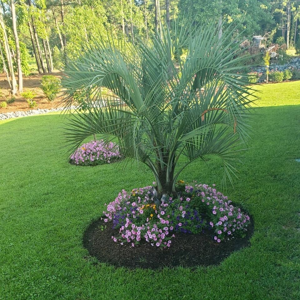 Landscape design with flowers and mulch.