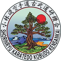 Lanier's Shorin-Ryu Karate Dojo